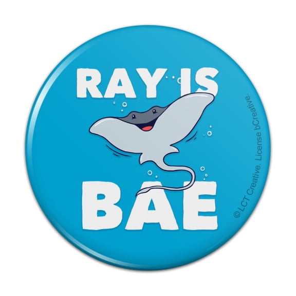 Ray is Bae Funny Humor Pinback Button Pin