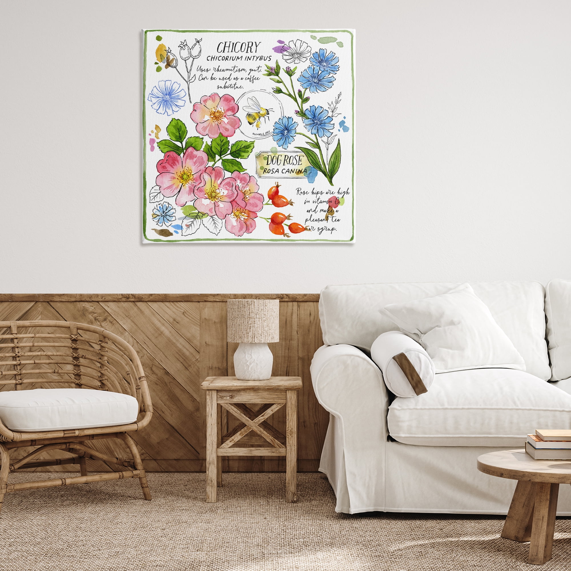 Stupell Industries Varied Herbs Benefits Plants & Flowers Painting Wrapped Canvas Art Print Wall Art, 36 x 36