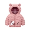 thumbnail image 2 of TAIAOJING Toddler Winter Coat Baby Girl Boy Boys Winter Windproof Cartoon Shine Bear Hooded Jacket Kids Warm Outerwear Coat 6-12 Months, 2 of 4