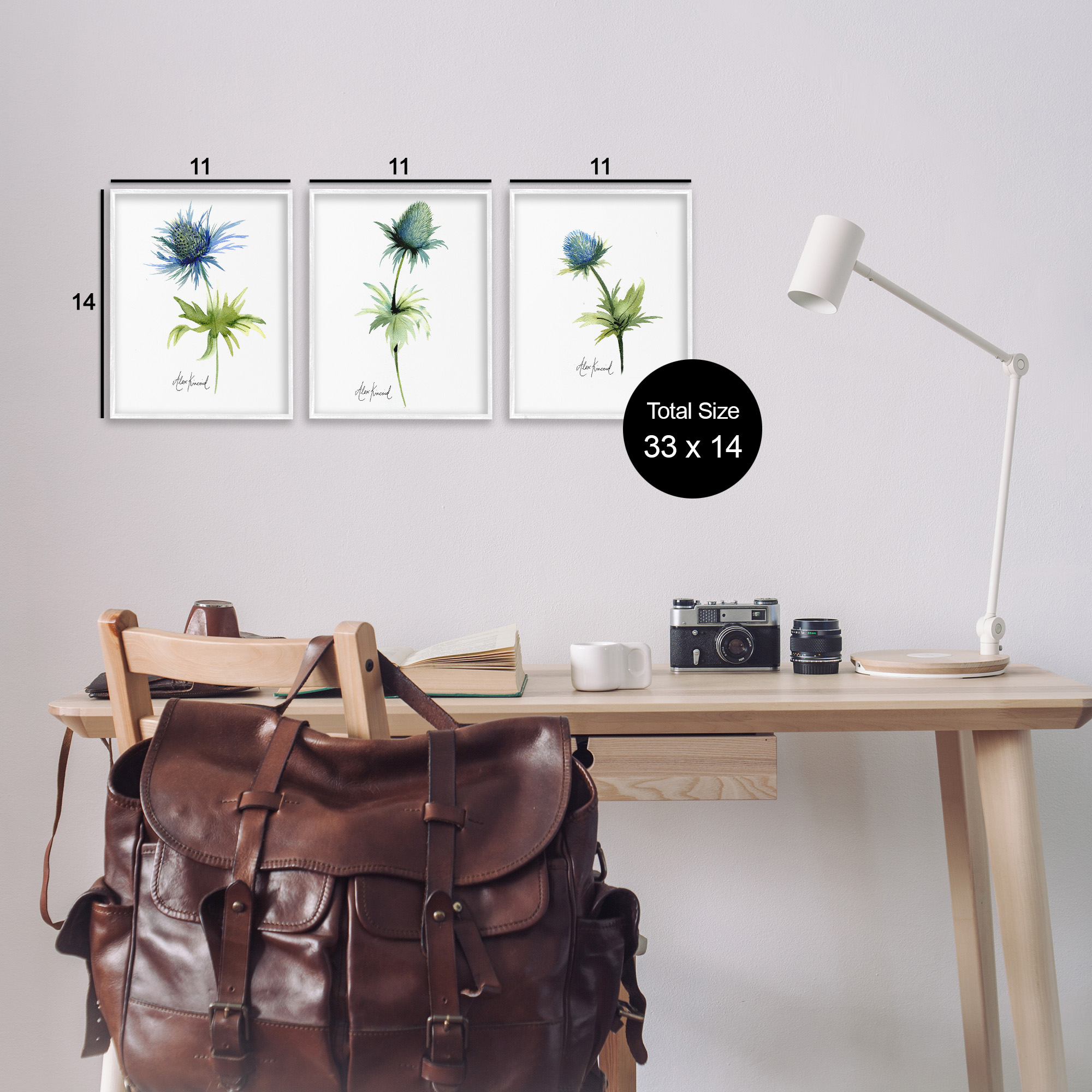 Stupell Industries Thistle Watercolors on White Botanical & Floral Painting White Framed Art Print Wall Art, 11 x 14, Set of 3