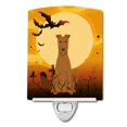 thumbnail image 1 of "Treasures Halloween Irish Terrier Luz nocturna de cerámica, 6x4, multicolor" Caroline's Treasures BB4328CNL, 1 of 1