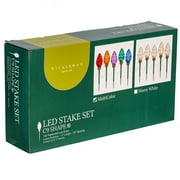 Vickerman 100 Multi-Colored C9 Faceted Bulb Lawn Stake Set, 24" spacing.
