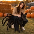 thumbnail image 3 of Pet Costume Black Furry Giant Spider Harness 1 Pack Halloween Cosplay Prank Dress Up Prop for Dogs Cats Trick Or Treat Party Holiday Spooky Decoration, 3 of 5