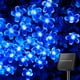 thumbnail image 1 of Guirnalda de luces solares Brightown 60 LED, color azul cerezo, 1 of 7