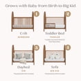 thumbnail image 5 of Delta Children Cannon 4-in-1 Convertible Crib - Converts from Baby Crib to Toddler Bed, Daybed and Sofa Bed, Fits Standard Full-Size Crib Mattress, Chestnut, 5 of 14