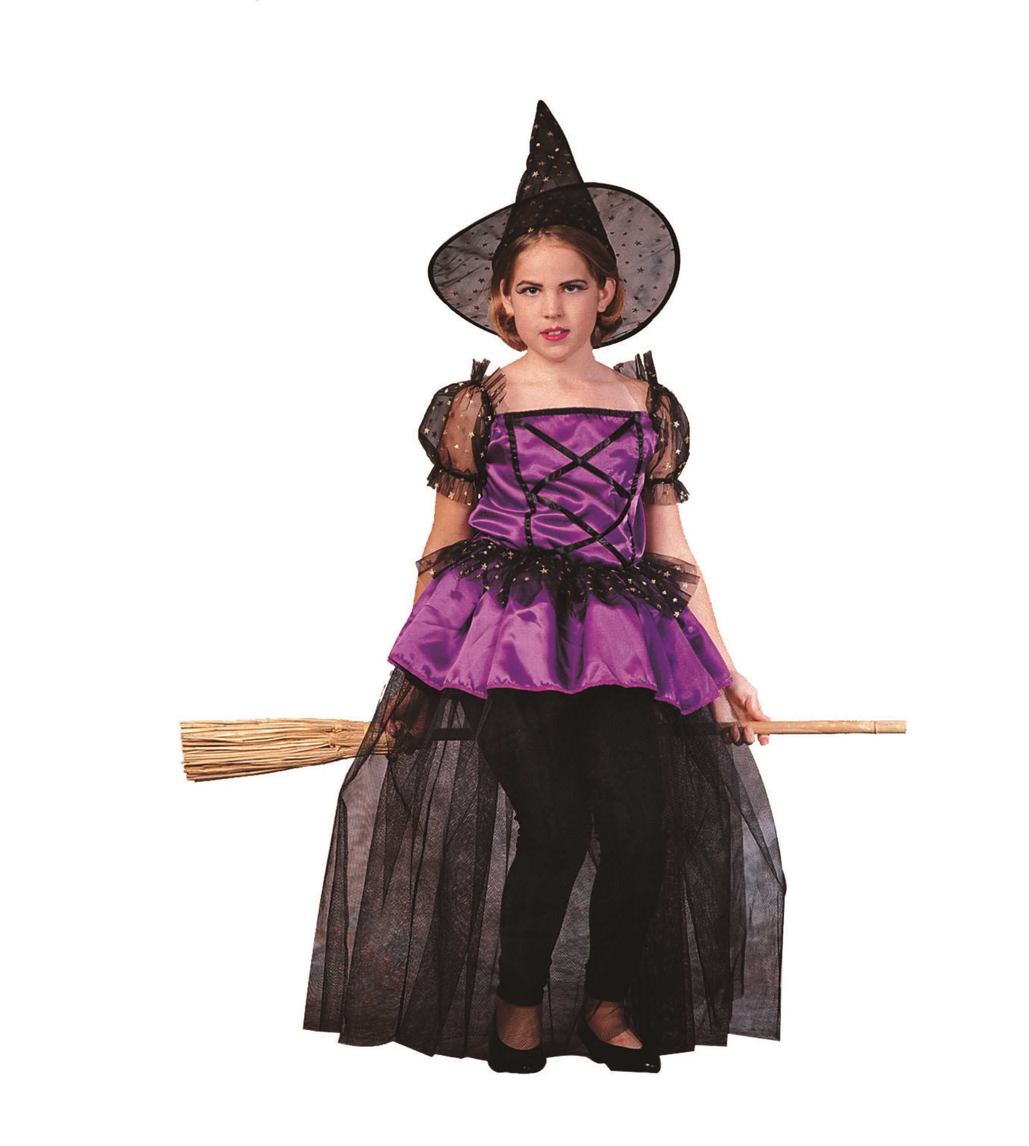 RG Costumes 91415 Childs Fairyland Witch