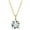 Gold-Tone, variant on Round Solitaire Necklace for Women Sterling Silver 4 Ct 8A Cubic Zirconia Pendant 16-18" Chain by Ginger Lyne Colelction