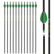 29 Inch Carbon Arrow Practice Hunting Arrows Spine 400 with Removable Tips for Archery Compound & Recurve & Traditional Bow (12 Pcs)$$Other
