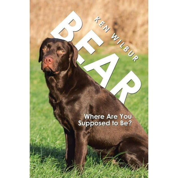 Bear : Where Are You Supposed to Be?