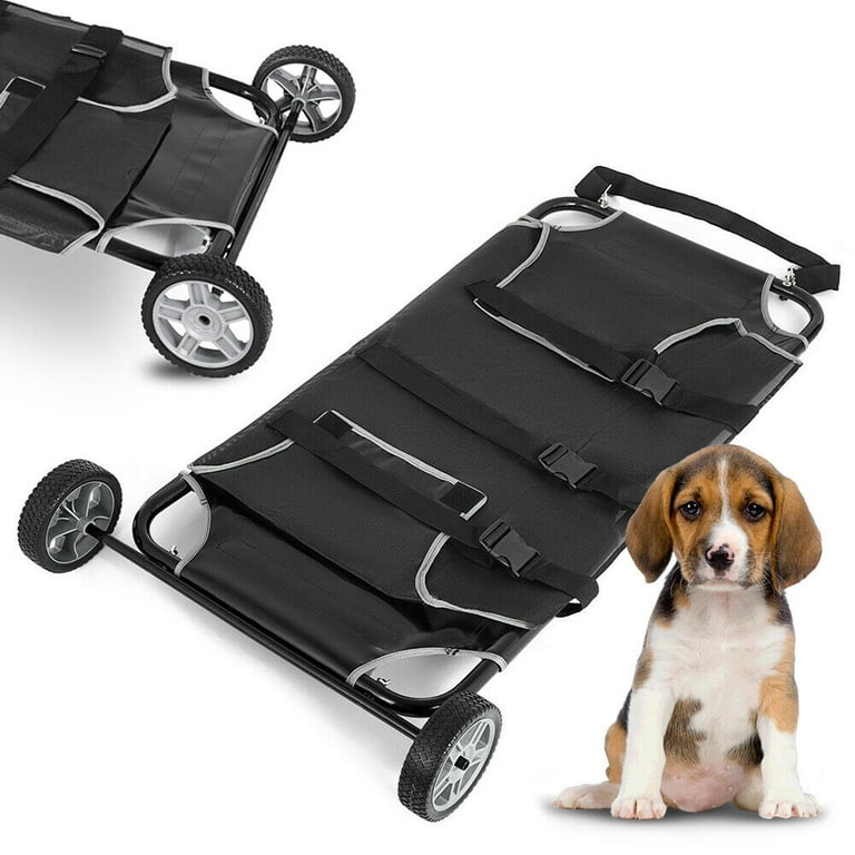 Veterinary dog hot sale stretchers
