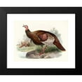 thumbnail image 2 of Joseph Smit 14x12 Black Modern Framed Museum Art Print Titled - Meleagris Galled. (1872), 2 of 5