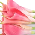 thumbnail image 4 of Artificial Calla Lily 10pcs 26 Inch Long Stem Arum Lily for Home Décor Centerpieces Wedding Bridal DIY Bouquet(Light Crimson), 4 of 5