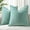 Aqua Haze, variant on Christmas Couch Throw Pillow Covers 24x24 Set of 2, Decorative Soft Euro Velvet Neutral Chenille Pillow Covers with Elegant Design for Sofa Bed Living Room Home Decor, Rust