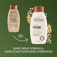 thumbnail image 3 of Aveeno Scalp Soothing Oat Milk Blend Shampoo 12 fl oz (Pack of 4), 3 of 5