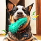 thumbnail image 4 of Juguete masticable para perros para masticadores agresivos, juguetes para cepillos de dientes para perros, juguete chirriante interactivo para razas pequeñas, medianas y grandes, azul, 4 of 5