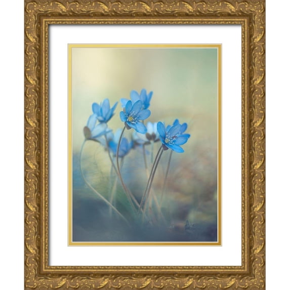 Zandersons, Davis 25x32 Gold Ornate Wood Framed with Double Matting Museum Art Print Titled - Memories of a spring
