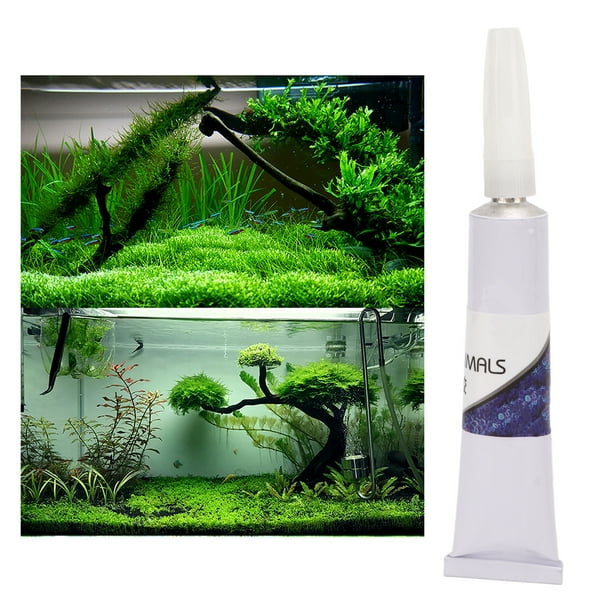 Colle De Mousse, Protection De L'environnement Portative De Colle D'herbe  D'eau Pour L'aquarium Pour La Pierre 
