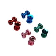 thumbnail image 2 of Paire de Bouchons d'Oreilles à Vis Plaqués Ion Titane Rose Bleu Vert Rouge, 2 of 12