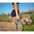 thumbnail image 4 of The Comfort Dog Harness With Mesh Padded Vest Aqua- Large Breeds, 4 of 6