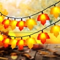 thumbnail image 1 of Cadena de luces Abeja, 2,6 m, hoja de arce, 10 LED, 110 V, 1 of 7