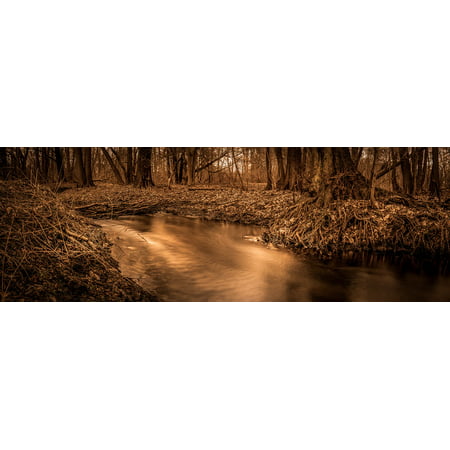 Canvas Print Forest Nd-filter Autumn Long Exposure Fog Stretched Canvas 10 x