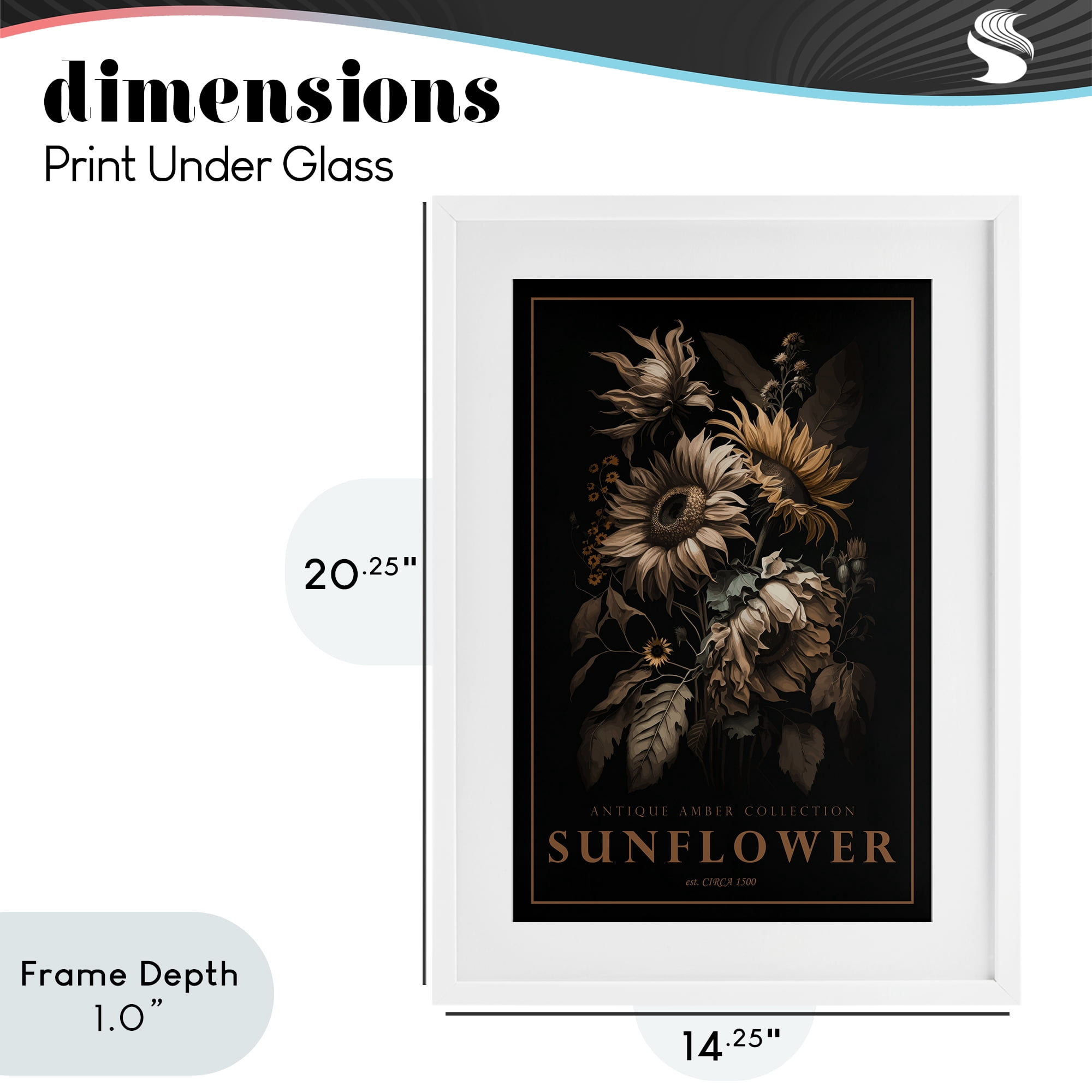 Stupell Industries Antique Sunflower Light White Framed Print Under Glass, design by Chris Giampietro