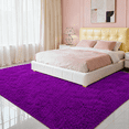 thumbnail image 4 of HOISUN 5x8 ft Soft Shag Area Rug for Bedroom Living Room, Fluffy Plush Non-Slip Carpet, Purple, 4 of 10