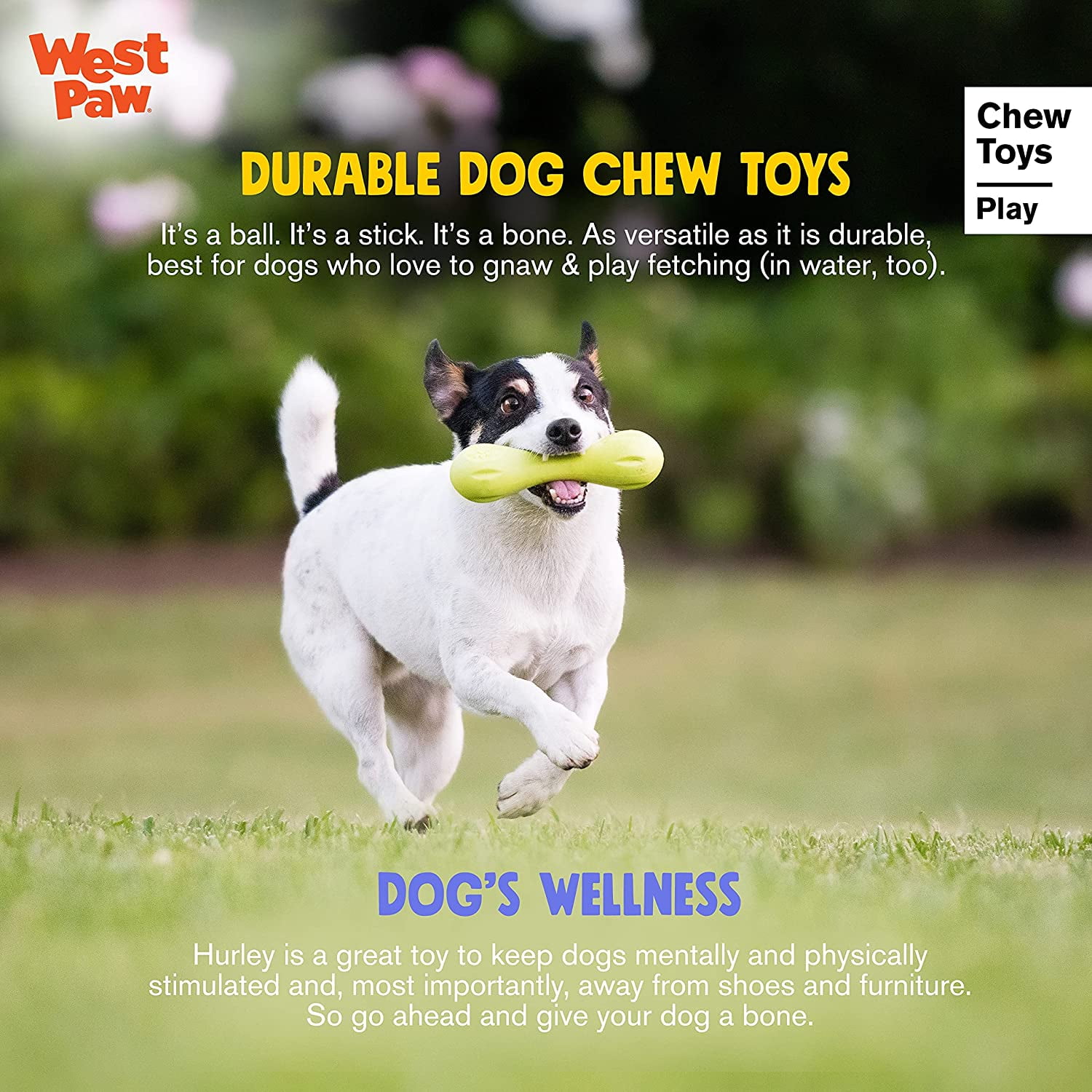 Dog bone shoe online