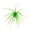 Green#1, variant on Sea Urchin Soft Lure, TPR Floating Swimbait, Realistic Tentacle Design for Bass Trout Freshwater & Saltwater Fishing (Army Green)