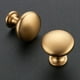 thumbnail image 2 of Ravinte 20 Pack Kitchen Cabinet Knobs Gold Zinc Knobs Drawer Pulls Door Dresser Drawer Handles Knobs for Dresser Drawers, 2 of 5