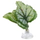 thumbnail image 5 of Almohadilla de hoja de pez Betta, hamaca de hoja Betta, hamaca verde de hoja Betta, almohadilla de hoja de simulación de pez, acabado de lujo, 5 of 8
