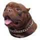 thumbnail image 1 of Cadena Collar Decorativo De Aluminio Para Perro Tallas S M L, 1 of 2