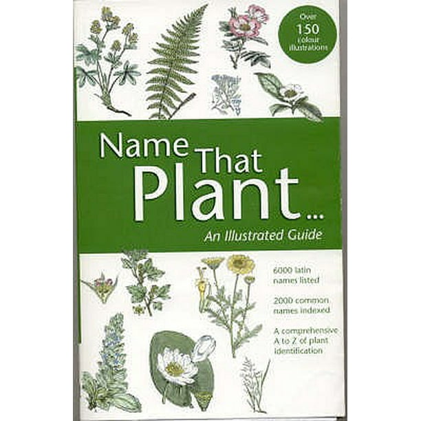 Name That Plant An Illustrated Guide to Plant and Botanical Latin