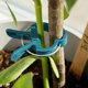 thumbnail image 2 of Clips Yjmei para sujetar plantas: 10 clips para plantas verdes tamaño L - Ayuda para trepar plantas trepadoras en estacas en espiral o estacas de bambú - Clips para jardinería y jardinería, 2 of 5