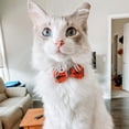 thumbnail image 4 of Stylish Plaid Bow-Tie Cat Collar - Adjustable & Comfortable Fit, Durable Fashion Accessory for Your Feline, 4 of 5