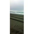 thumbnail image 2 of Grayscale 16x32 Black Ornate Wood Framed with Double Matting Museum Art Print Titled - Beach Tracks I, 2 of 4