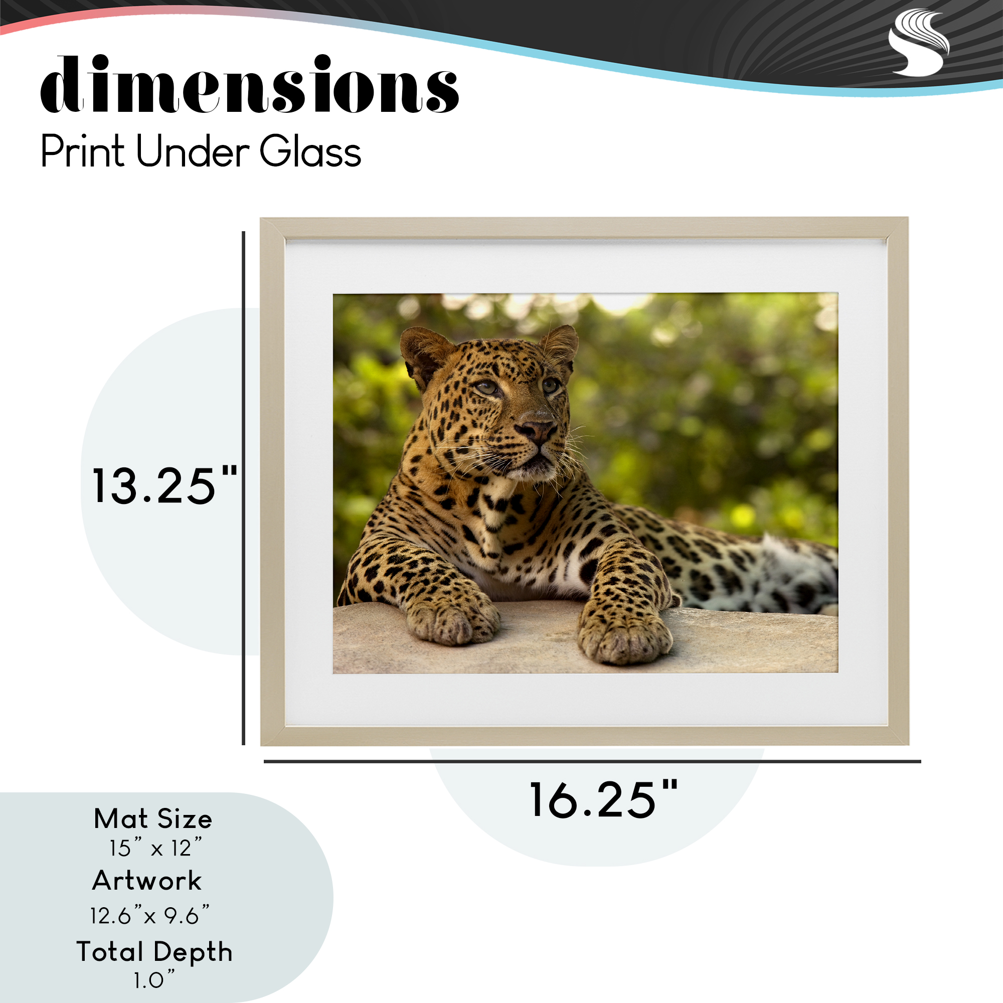 Leopard Gazing Relaxation Birch Framed Print Under Glass, design by MJ Photography