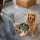 thumbnail image 5 of Inserto de comedero lento para perros Fikz Craving Creativity, 5 of 7