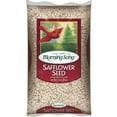 thumbnail image 1 of Morning Song 11992 7.5 lbs Safflower Wild Bird Seed, 1 of 1