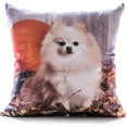 thumbnail image 1 of Gouchee Design Pomeranian Cushion, 1 of 1