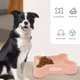 thumbnail image 5 of RKSTN Cat Bowls Pet Bowl Double Bowl Pink, 5 of 6