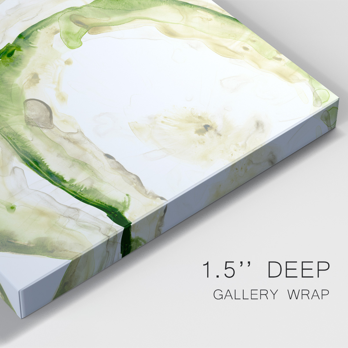 Lichen Halo IV Premium Gallery Wrapped Canvas - Ready to Hang