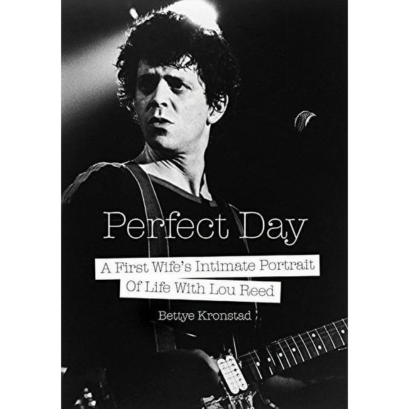 Perfect Day : An Intimate Portrait Of Life With Lou Reed (Paperback)