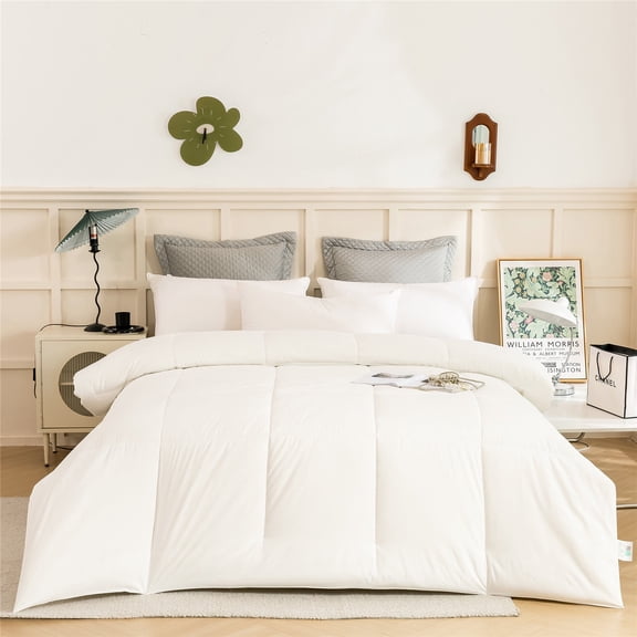 DBOZE Reversible Comforter, All-Season Lightweight Cotton Blend, Hypoallergenic Down Alternative Fill, Breathable & Box-Stitched Design(White,Queen)