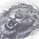 thumbnail image 4 of Men Unique Animal Pattern Tattoo Sticker Portable Waterproof Temporary Tattoo StickerTH-108, 4 of 5