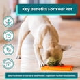 thumbnail image 5 of Comedero lento para perros clásico, almohadilla para lamer, reduce el aburrimiento y la ansiedad; Apto para alimentos, 5 of 5