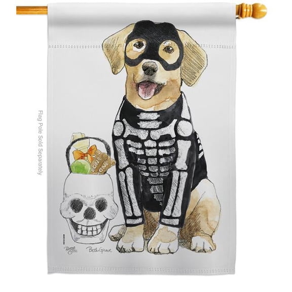 Breeze Decor H112098-BO Spooky Skeleton Lab House Flag Fall Halloween 28 x 40 in. Double-Sided Decorative Vertical Flags for Decoration Banner Garden Yard Gift