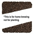 thumbnail image 6 of Home Brew Ohio Midnight Wheat Grain 5lb, 6 of 6