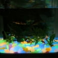 thumbnail image 5 of XISAOK Glow In The Dark Patios Lawn Pebbles Glow Stones Crystals Rock for Aquarium Walkways Luminous Stones Gardens Decoration, 5 of 18