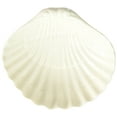 thumbnail image 2 of Abbott Collection AB-27-BLANC-731 5 Po Coquille Babiole & Vaisselle à Savon&44; Blanc, 2 of 4